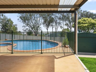 19 Elmslie Cct, West Wodonga