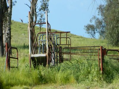 1 / 436 Jennings Road, Culcairn
