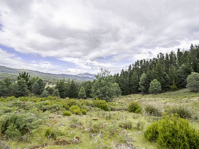 Lot 2, Fyfes Road, Mountain River