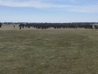 3166 Back Trundle Road, Parkes