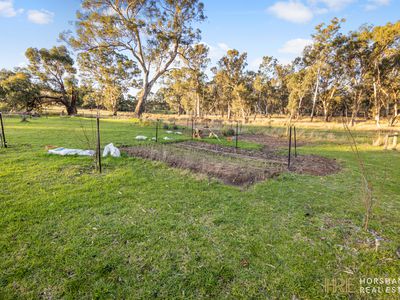 23 Horsham Road, Balmoral