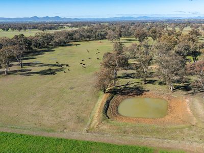 'Willowbank' Urana Road, Jindera