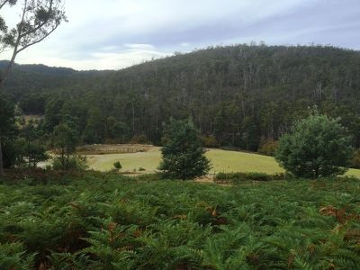 Lot 16 Waggs Gully Road, Ranelagh