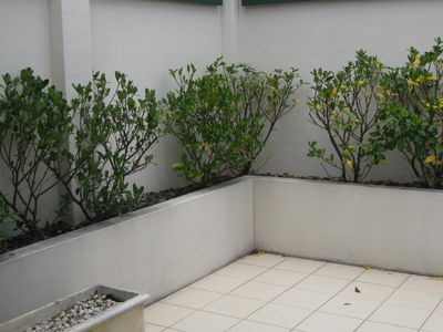 4 / 71 Central Avenue, Oak Flats