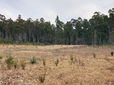 Lot 3 Costains Road, Geeveston