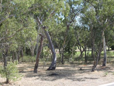 4 Redgum Court, Heathcote