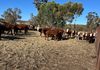 1643 North Bannister-Wandering Road, Wandering