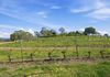 80 Glen Gala Road, Cranbrook