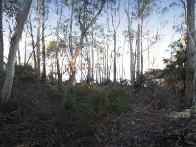 Lot 1, 466 Abels Bay Road, Abels Bay