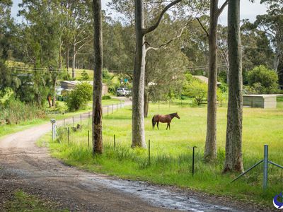 7440 Princes Highway, Narooma