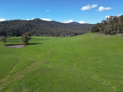 'Eastmore' 1177 Callaghan Creek Road, Mitta Mitta