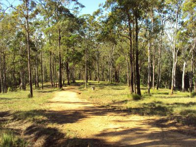 Lot 3 Maleny-Stanley River Rd, Booroobin