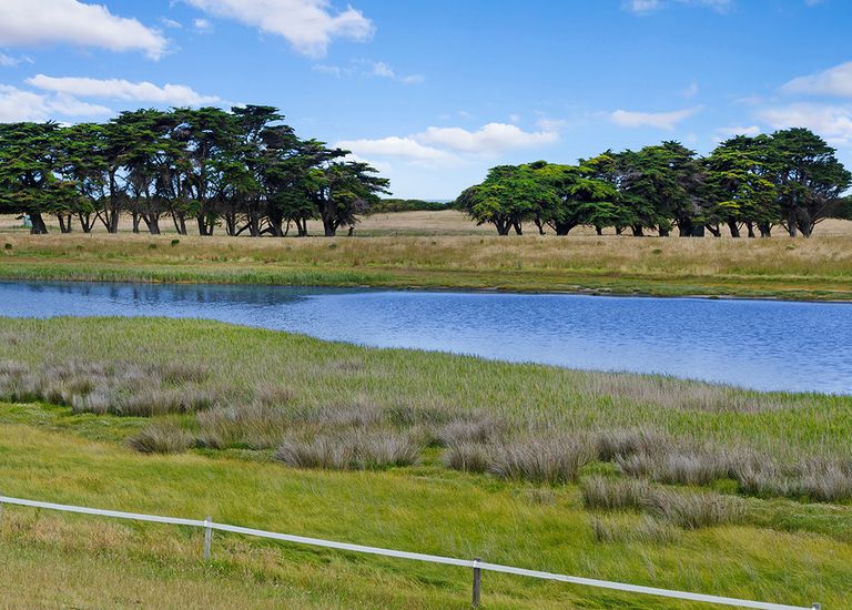 8095 Princes Highway, Narrawong