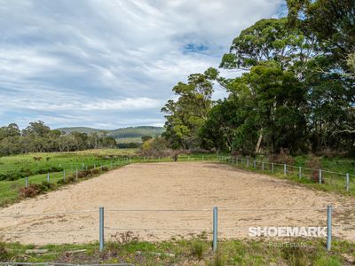 274 Mountain Creek Road, Braidwood