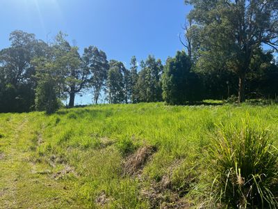 Lot 8, 345 Tuntable Falls Road, Nimbin