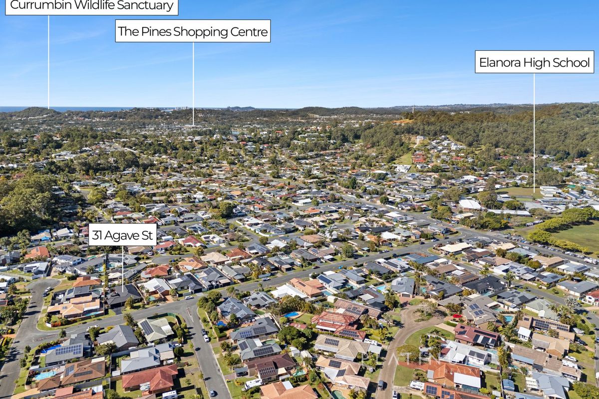 31 Agave Street, Elanora