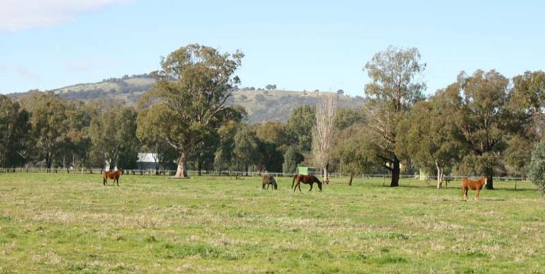 Lydiards Road, Euroa