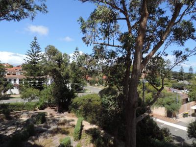 30 / 31 Wellington Street, Mosman Park
