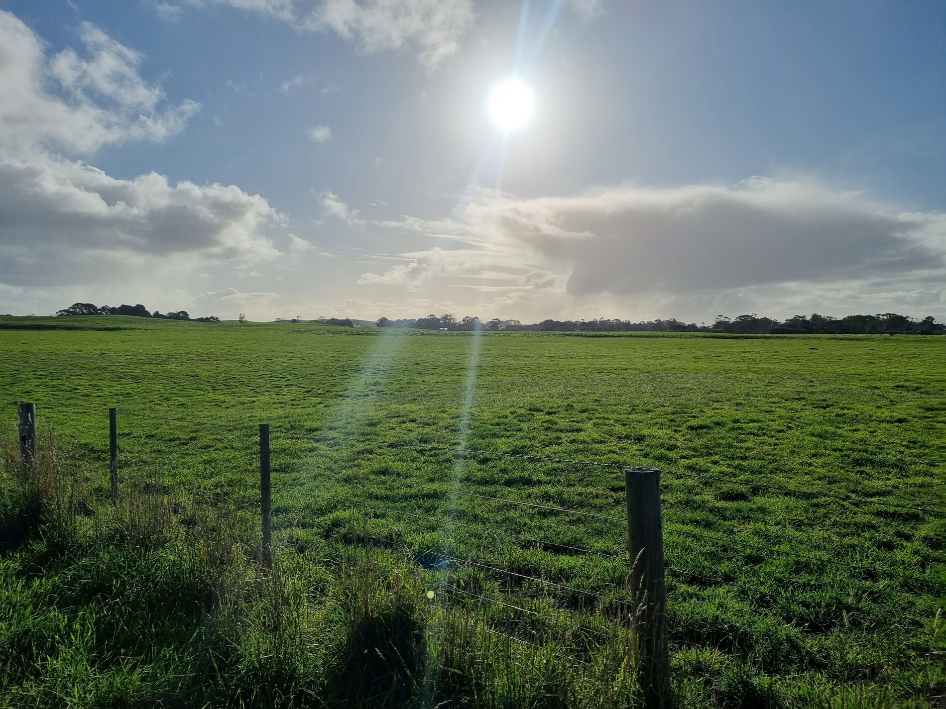 Lot 22, Kent Drive, Millicent