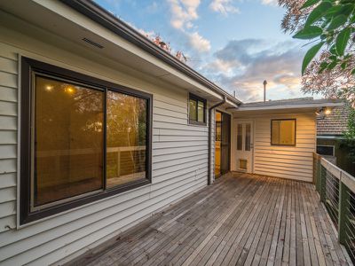 16 Joyhill Avenue, Box Hill South