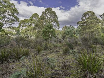 170 Russell Road, Lonnavale
