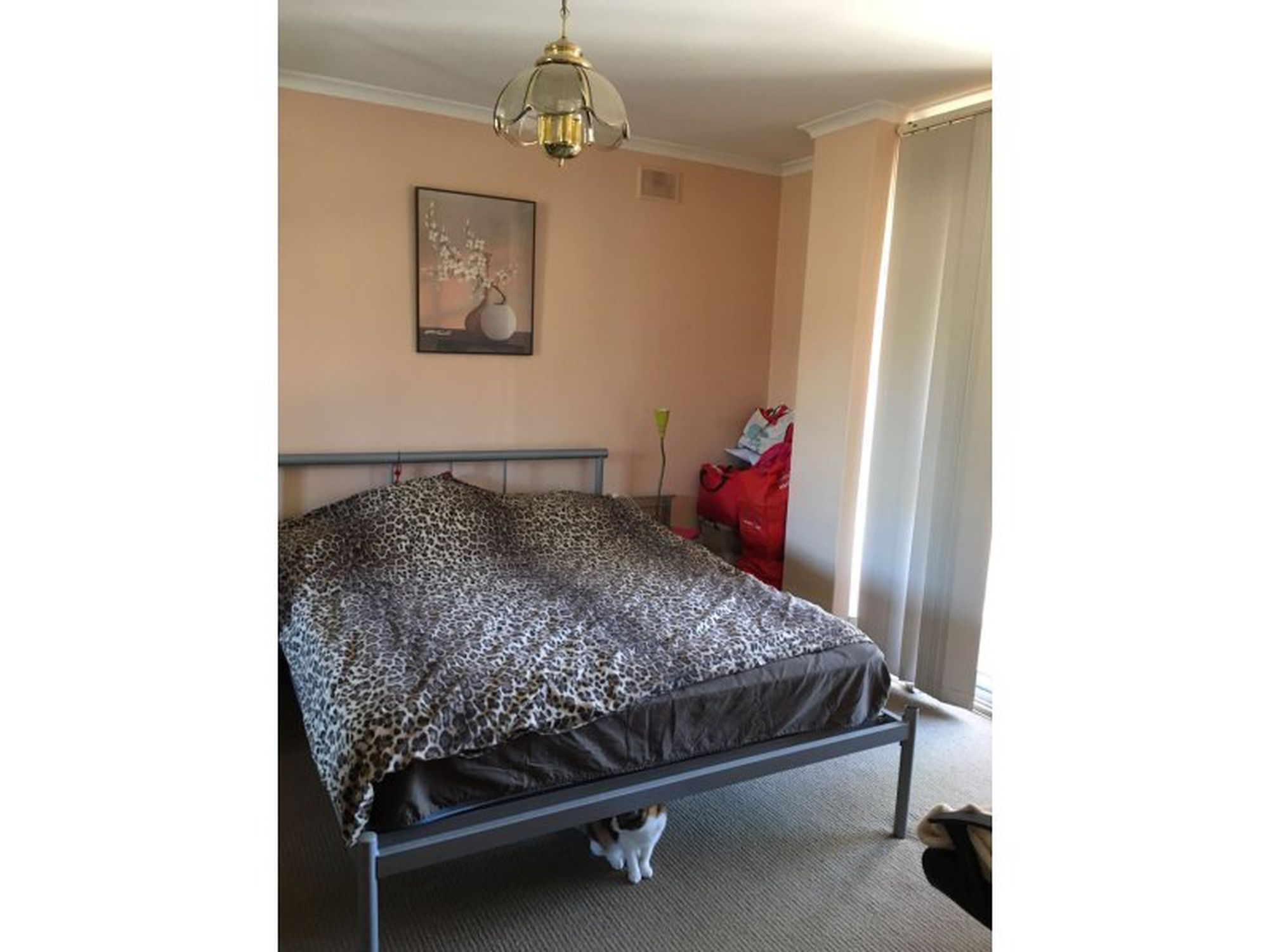 4 / 203 Anzac Highway, Plympton