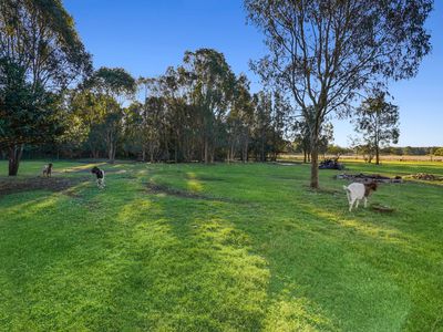 752 Beachmere Road, Beachmere