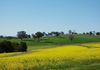 517 Peabody Road, Molong