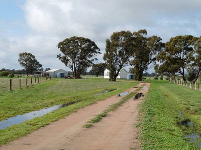 668 Walsh's Road, Horsham
