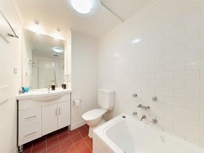 310 / 243 Pyrmont Street, Pyrmont