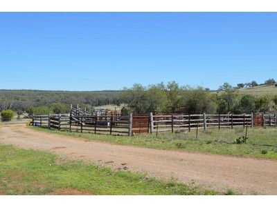 1817 Wandobah Road, Gunnedah