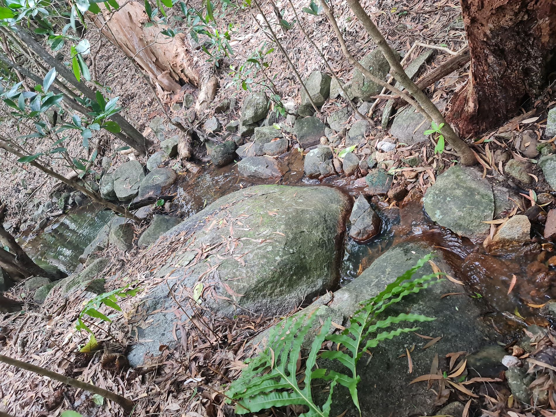 2 Parkinson Street, Cooktown