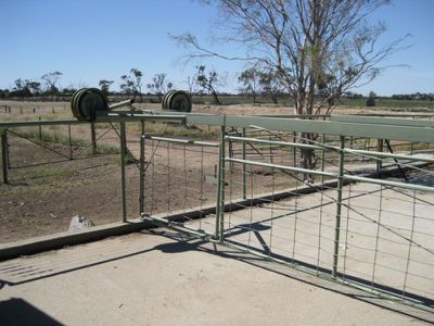 Kerang