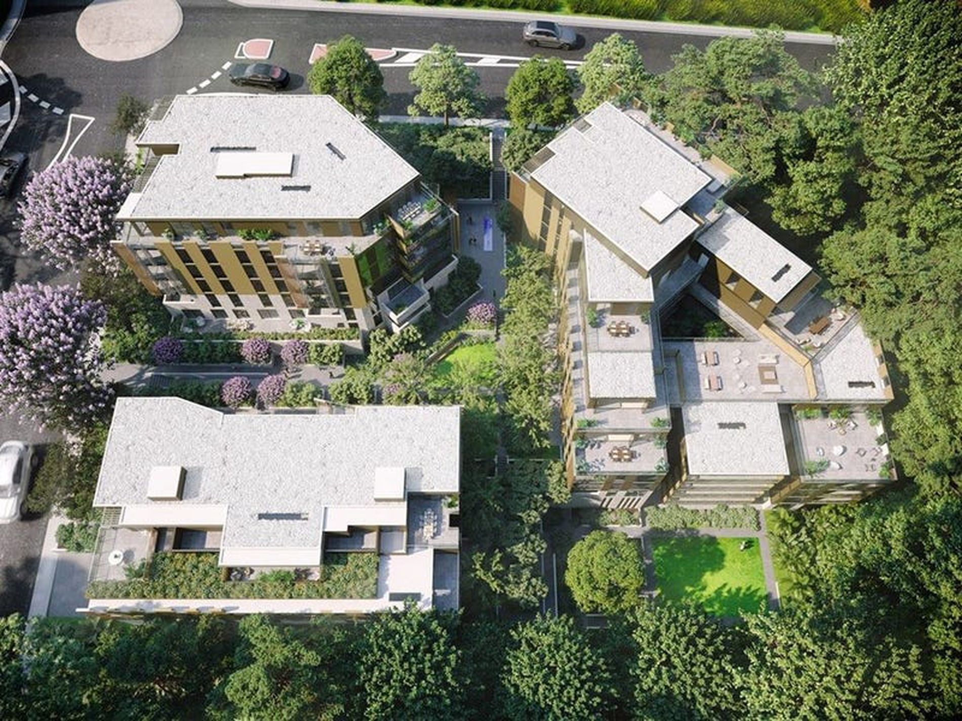 301 / 8B Pymble Avenue, Pymble