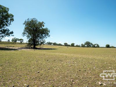 Lot 7, - Emmaville Rd, Emmaville