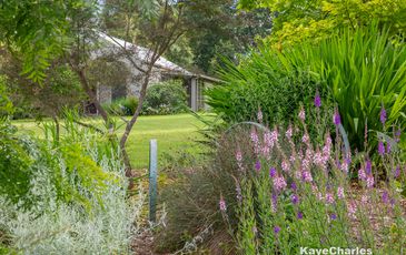 37 Bird Road, Avonsleigh