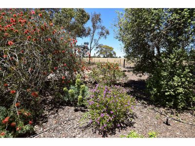 33 Angas Valley Road, Mount Pleasant