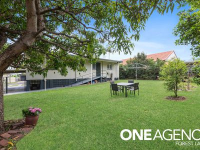 45 Bluejay St, Inala