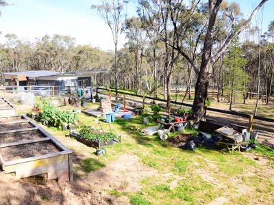 328  Warrowitue Forest Road, Heathcote