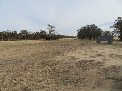 18717 / Mawson Doodenanning Balkuling, Quairading