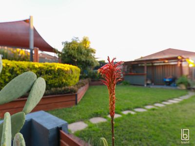 74 Mountain View Drive, Woongarrah