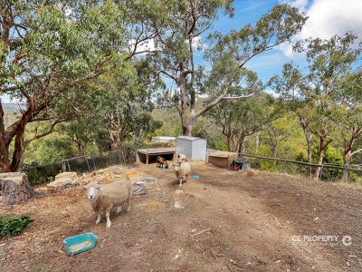 44 Cherryville Road, Cherryville