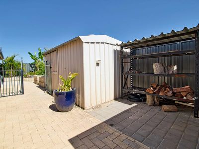 5 Diamondbird  , Baldivis