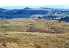 * 171 Shepherds Creek Rd, Euchareena Via, Orange