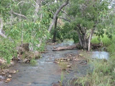 Mareeba