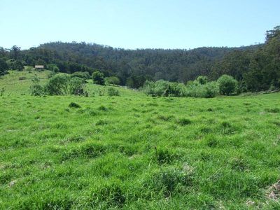 L44 /  50, 72 The Snake Track, Kiah, Kiah