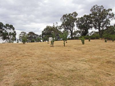 109 Meadows Lane, Heathcote