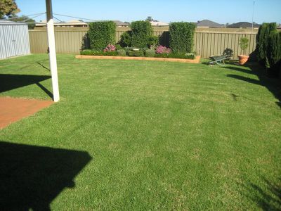 19 Websdale Drive, Dubbo