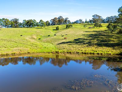 233 WAGONGA SCENIC DRIVE, Narooma