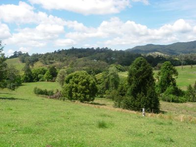 101 Kidaman Creek Rd, Obi Obi